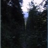 218-1858_IMG